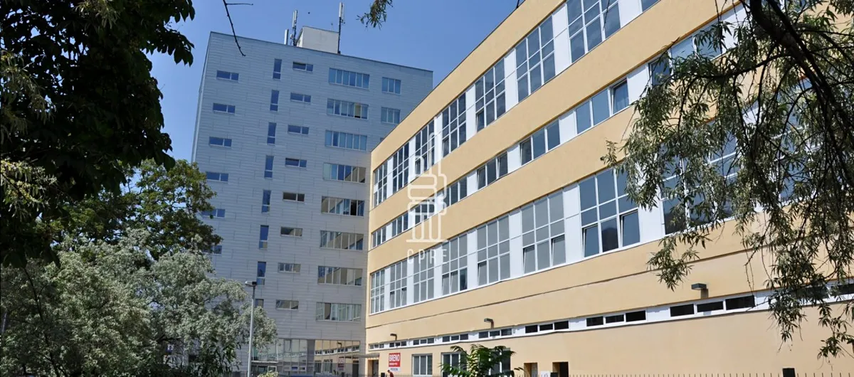Pronájem kanceláře 313 m²